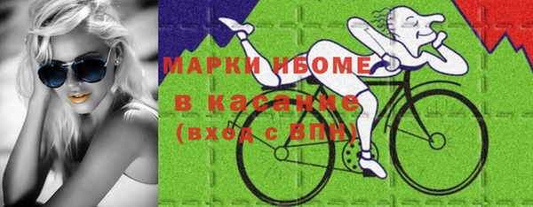 шишки Богородицк